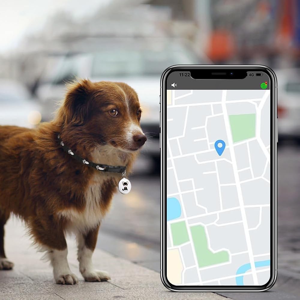 🐾Localizador Gps para mascotas 3km📍