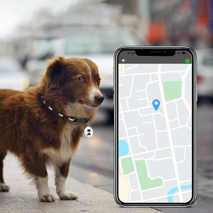 🐾Localizador Gps para mascotas 3km📍