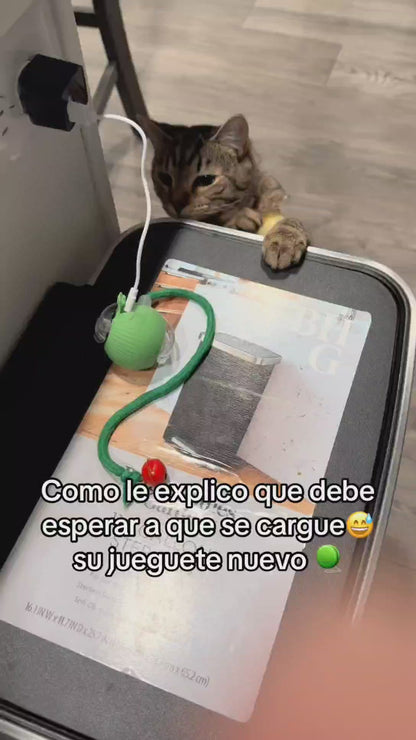 PELOTA INTELIGENTE PARA MASCOTAS